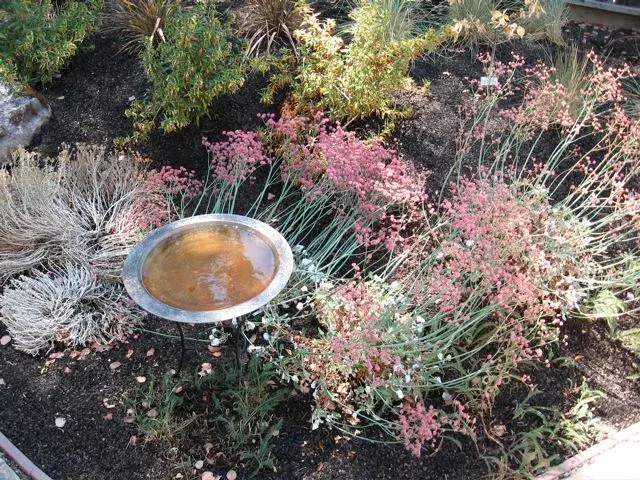 Boczanowski Garden