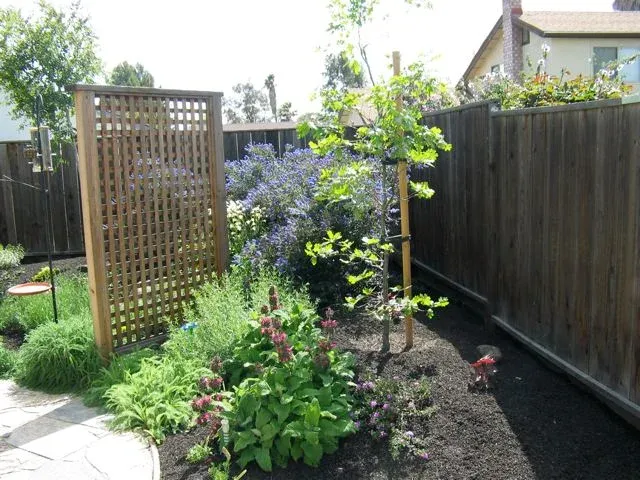 East Bay gardens — atmospheric spread