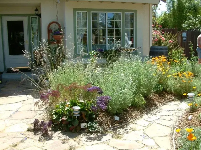 Lose the Lawn — photo 2