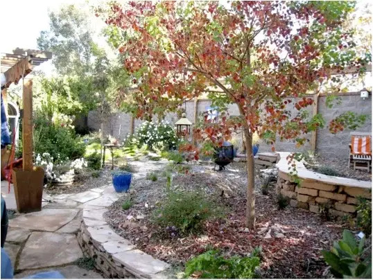 Lose the Lawn — photo 3