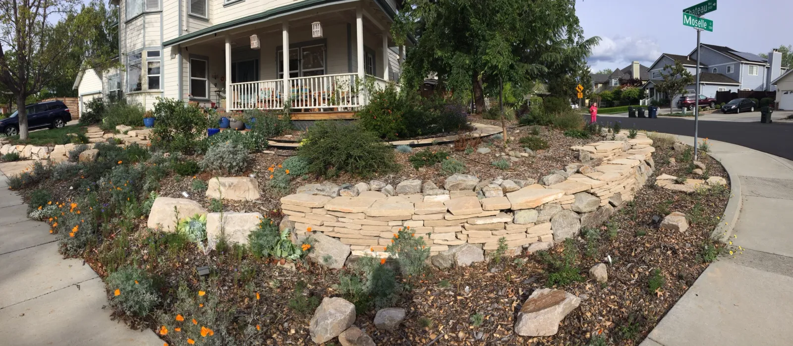 A Kat Weiss Landscape Design garden in the East Bay hills